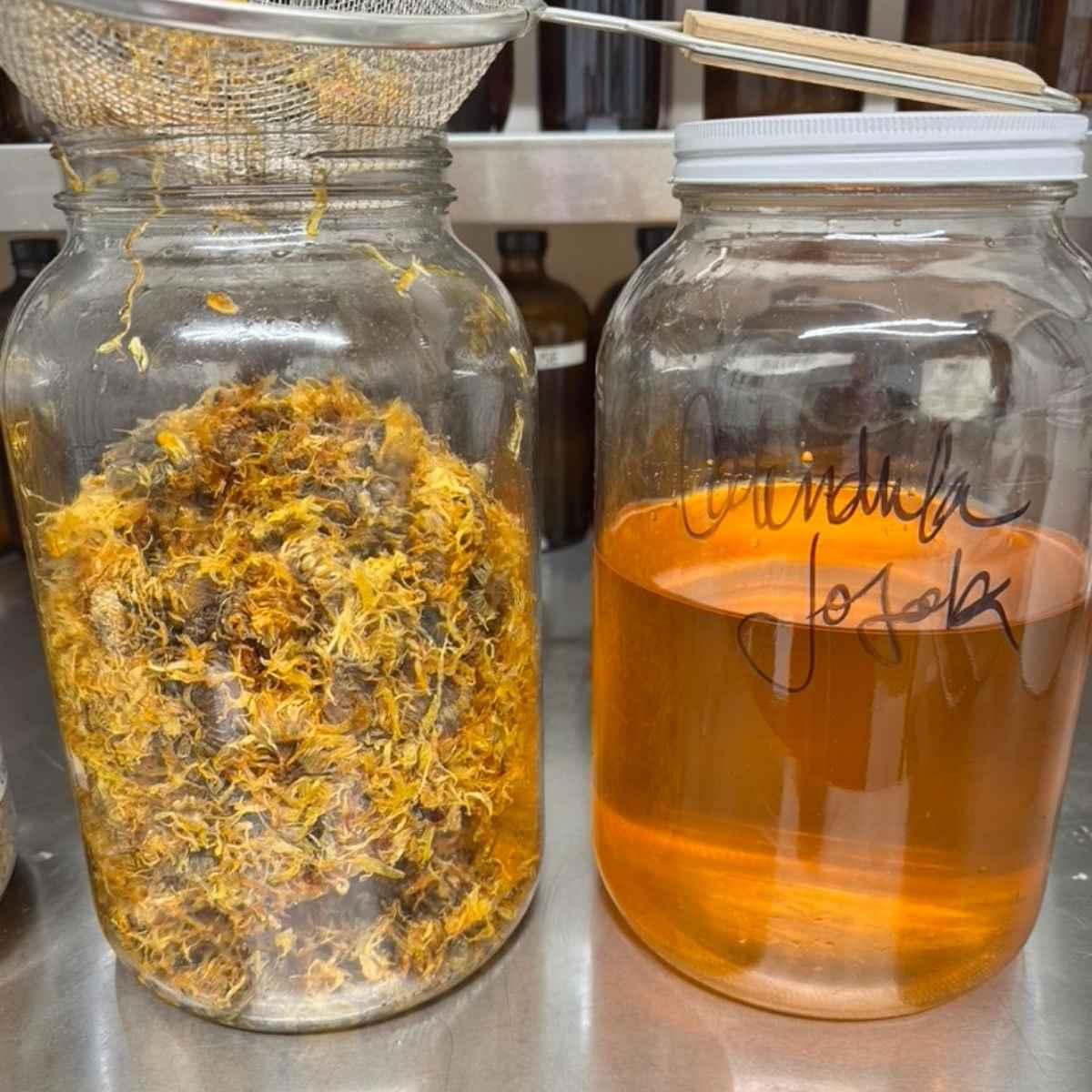 straining calendula infused jojoba oil