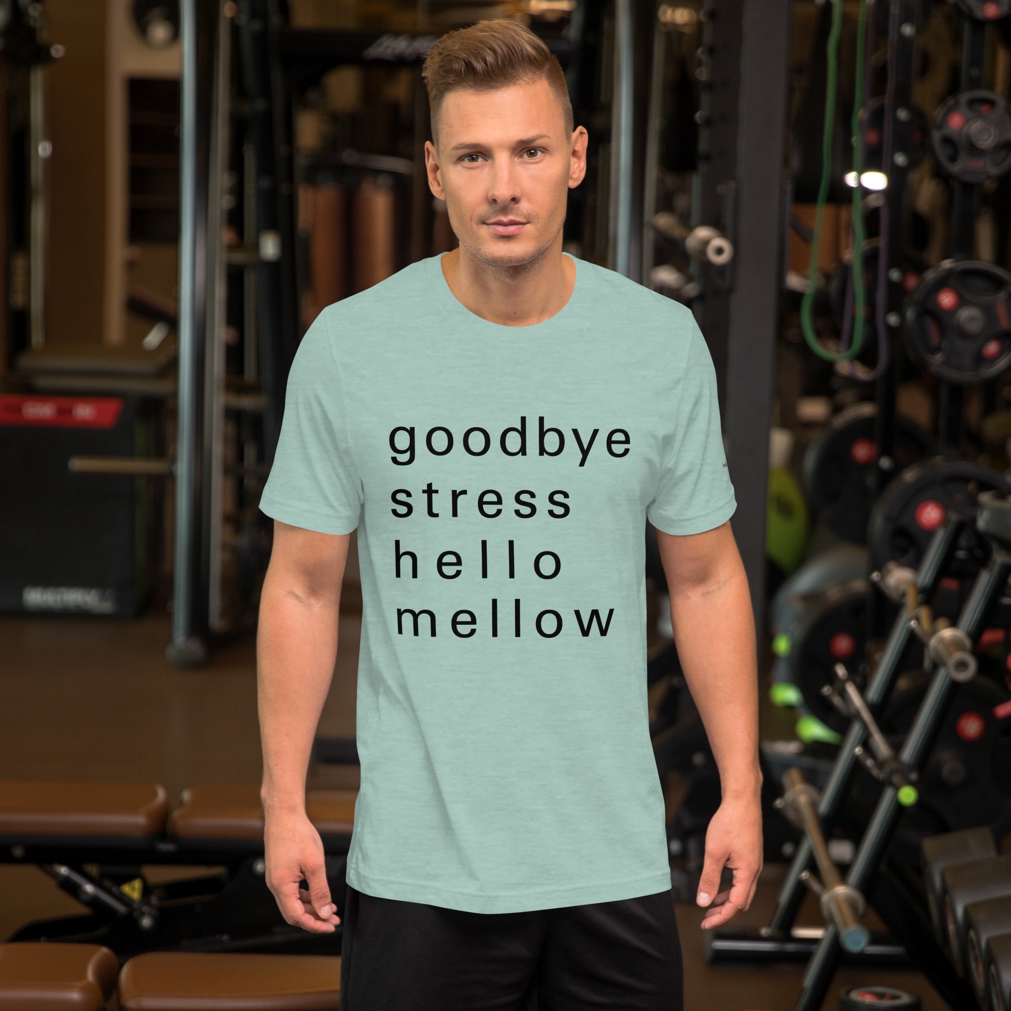 goodbye stress hello mellow fellow t-shirt